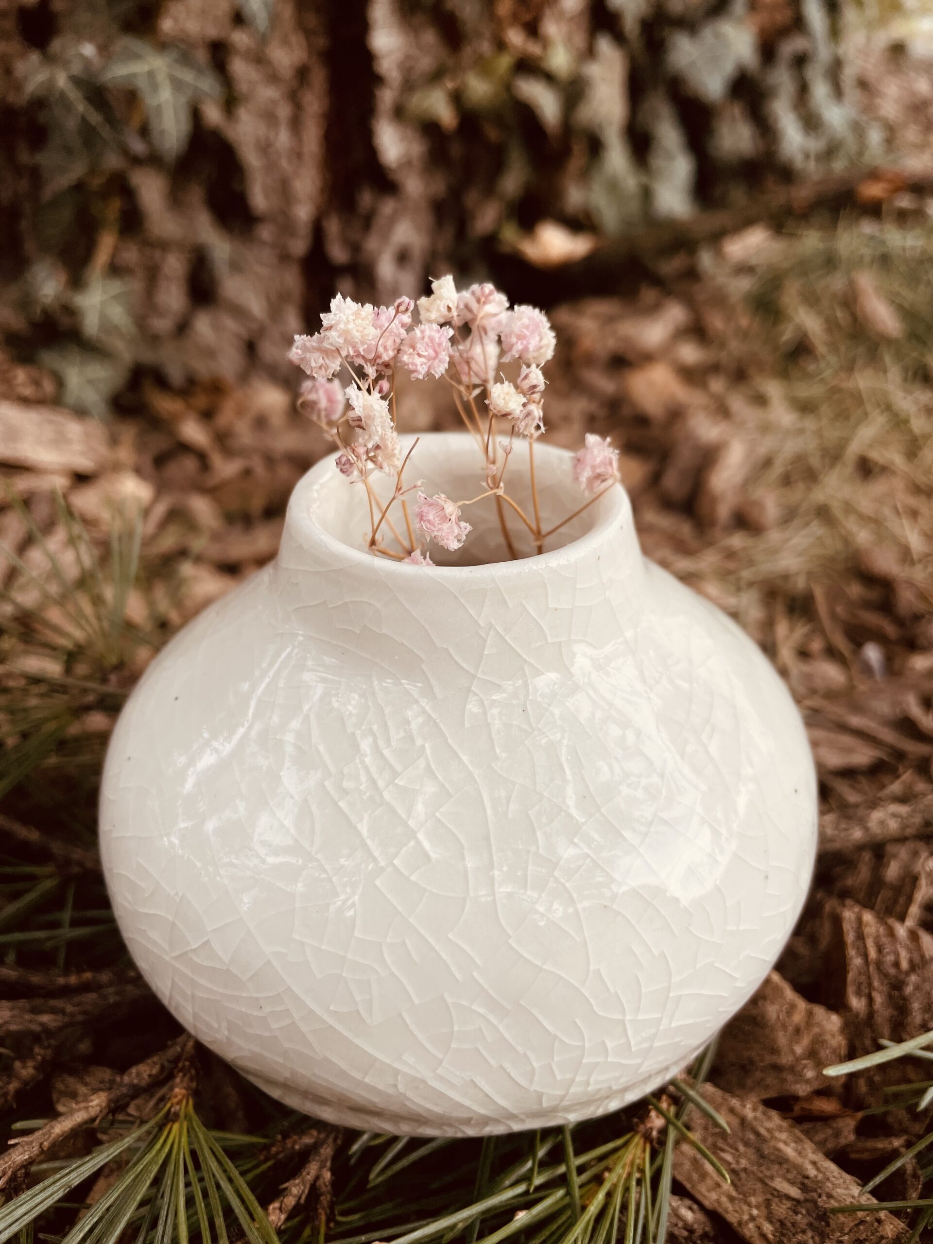 Vase en porcelaine avec texture craquelée, décoré de fleurs séchées.