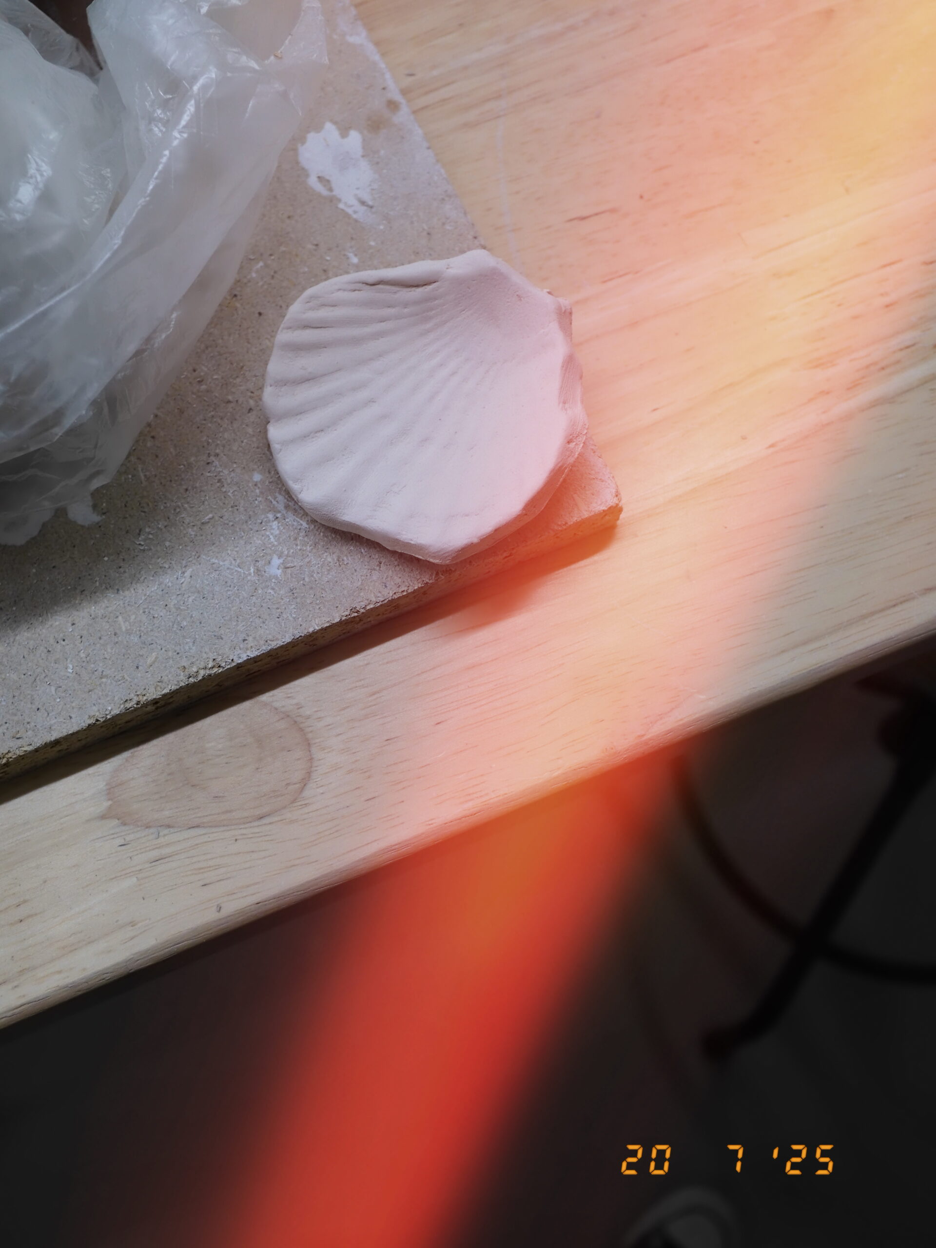 Empreinte de coquillage en argile blanche , inspiration bord de mer