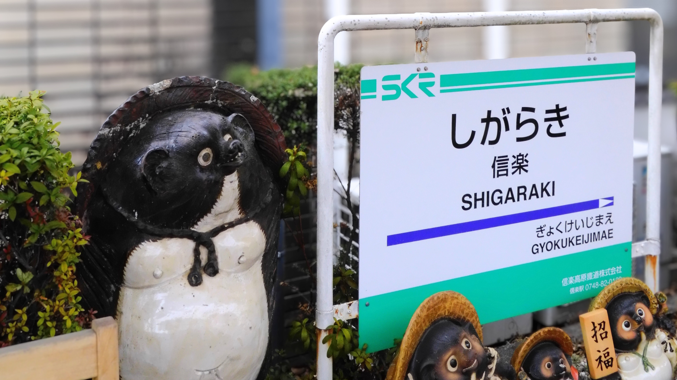 Panneau Shigaraki au Japon avec statue de tanuki en céramique